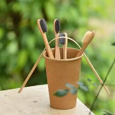 Bamboo toothbrushes and holders